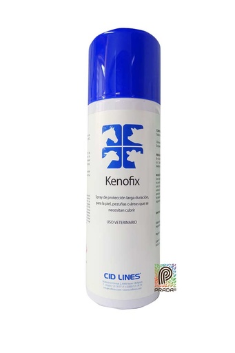 [7-1106-0651] KENOFIX X 300 ML