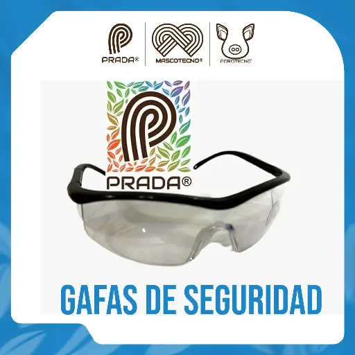 [4-0030-0566] Gafa Jackson Safety Element  V10 Jackson