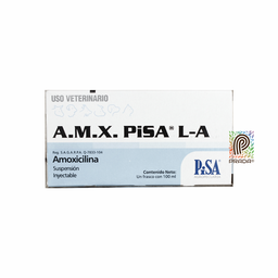 [7-0706-1110] AMOXICILINA A.M.X. LA X 100 ML
