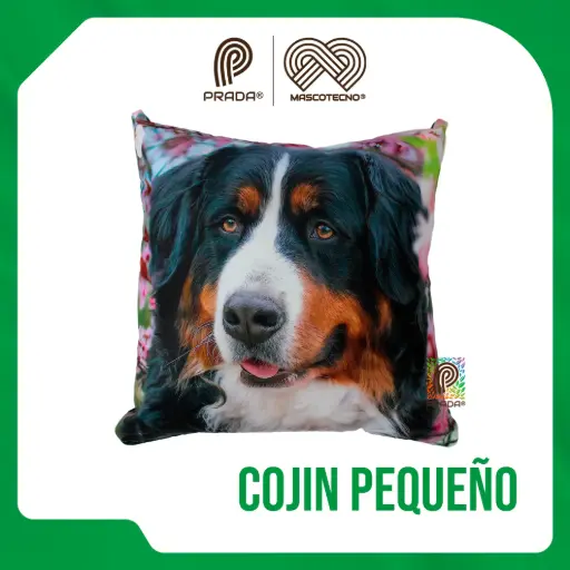 [0-0000-024] COJIN GRANDE DISEÑO CON MASCOTAS